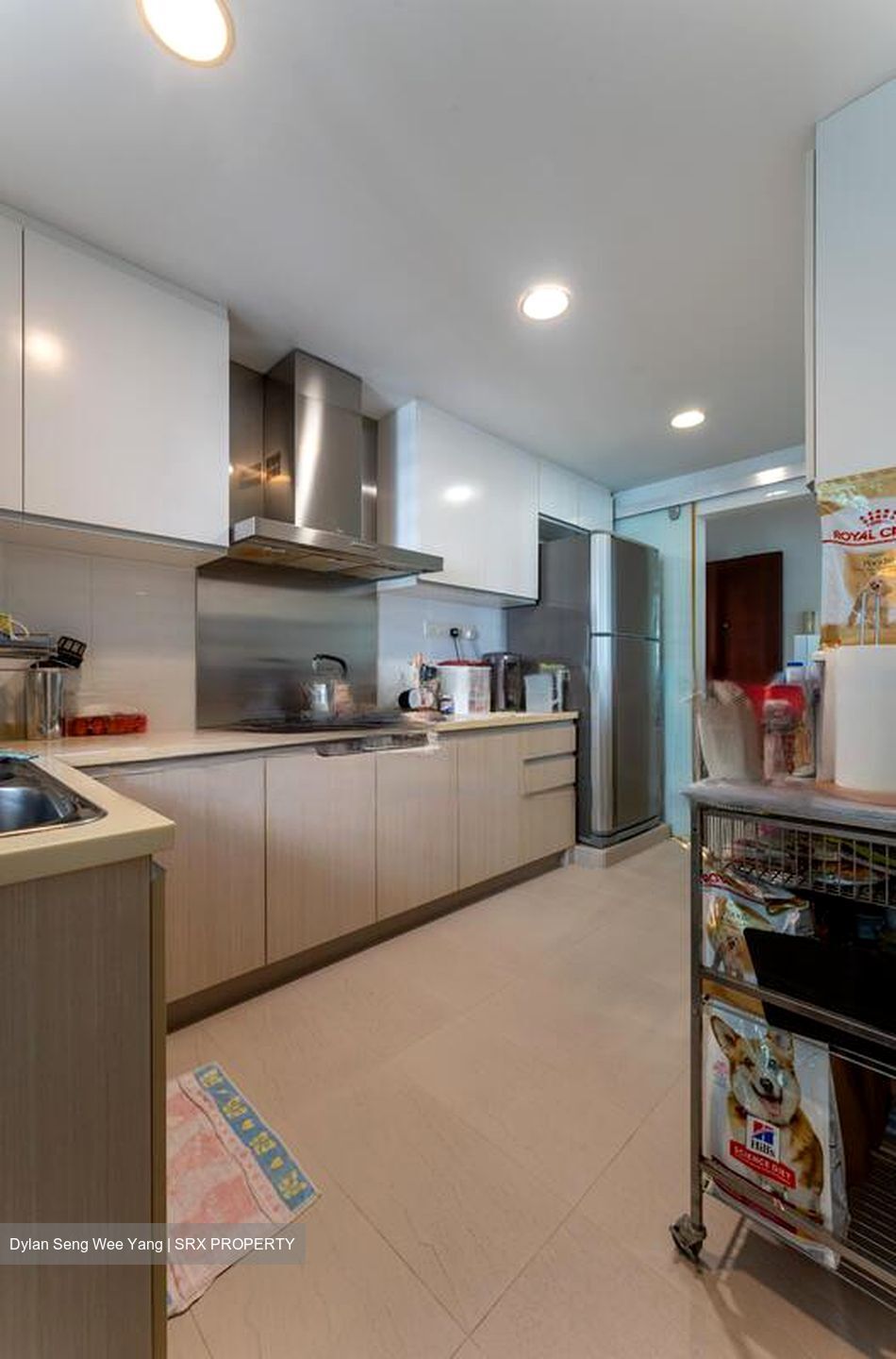 The Eden At Tampines (D18), Condominium #622027931